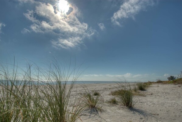 Vlak bij het strand, wit zand, ligstoelen, parasols