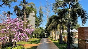 A pathway lined with trees and a building with a brick wall on one side.