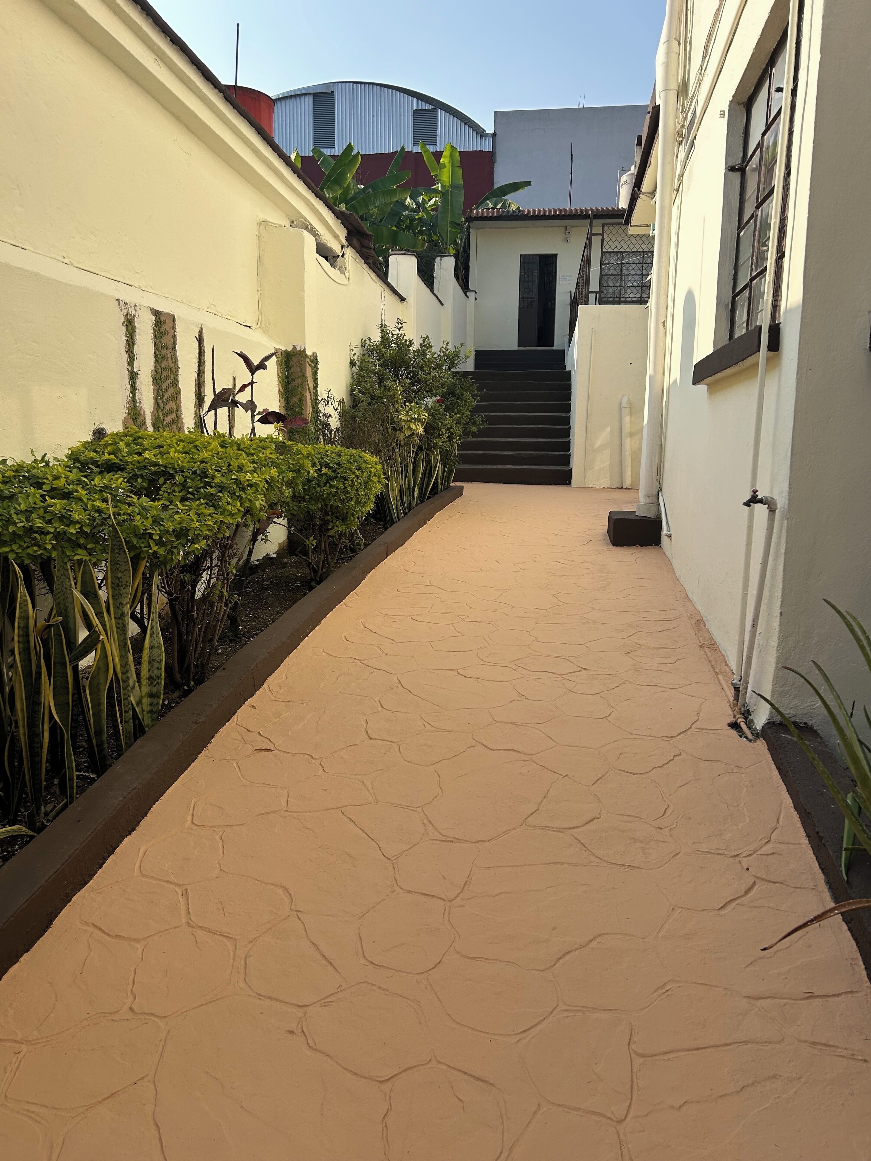 Un estrecho sendero pavimentado bordeado por paredes blancas y plantas verdes, que conduce a una escalera.
