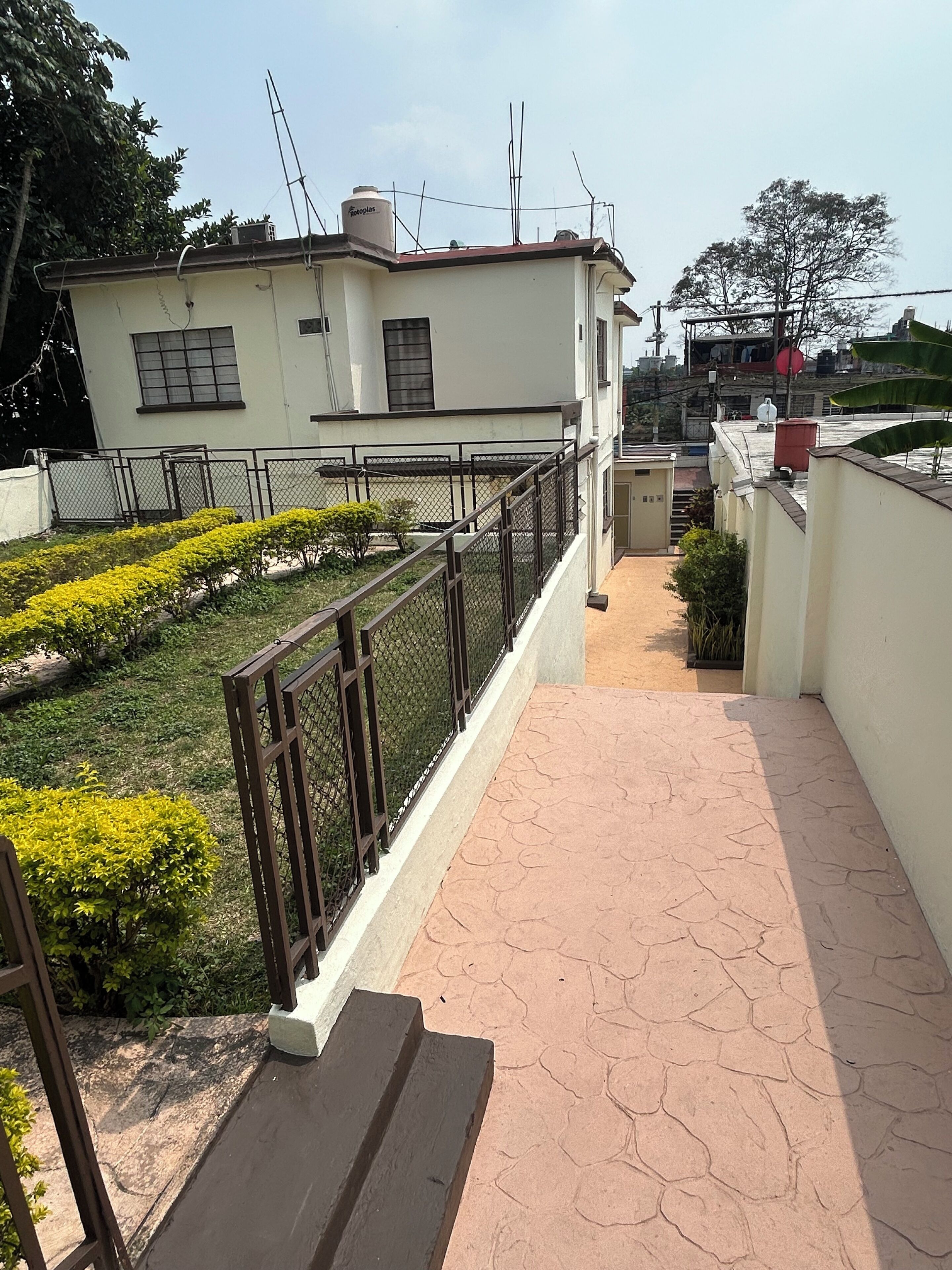 A residential building with a paved pathway, a fenced garden with yellow flowers, and a white exterior.