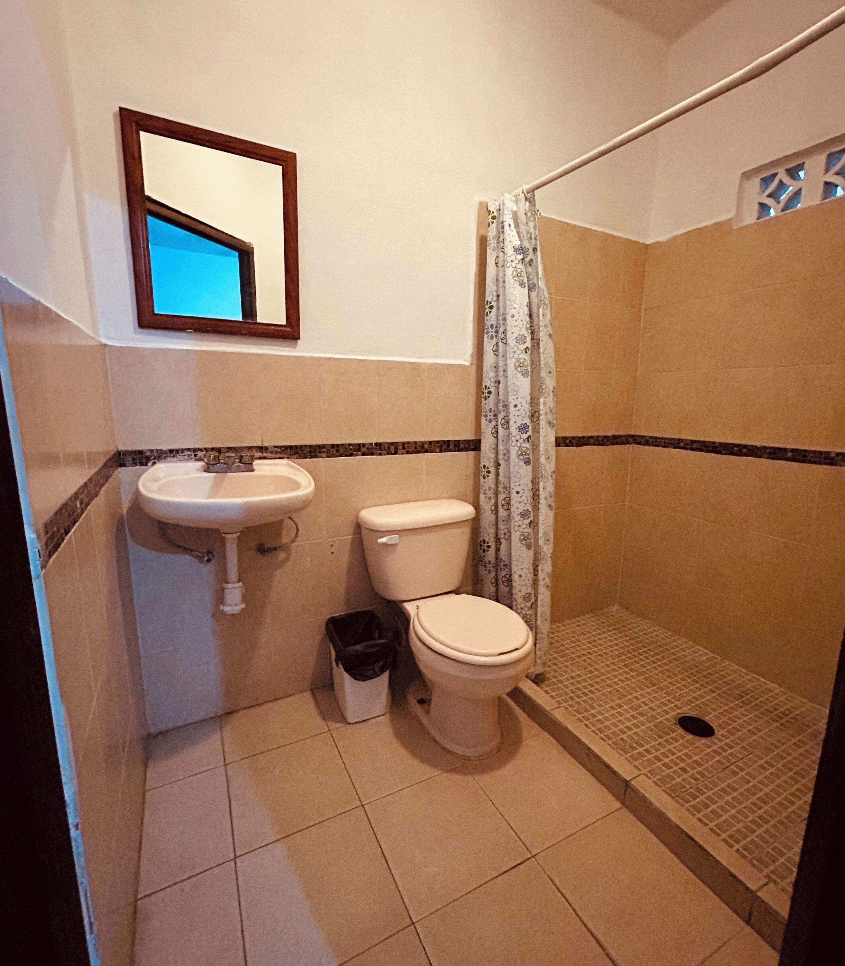 A bathroom with a sink, toilet, and shower.