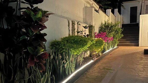 A pathway lined with various plants and a light strip along the edge. - Suites Ripoll Córdoba (Córdoba)