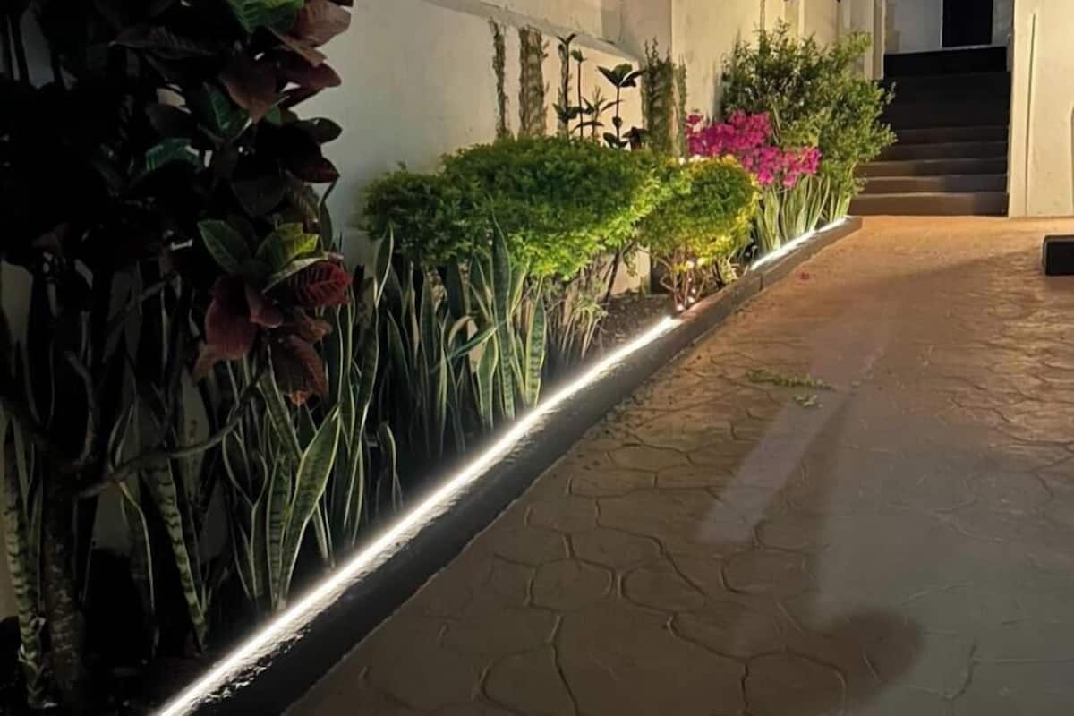 A pathway lined with various plants and a light strip along the edge.