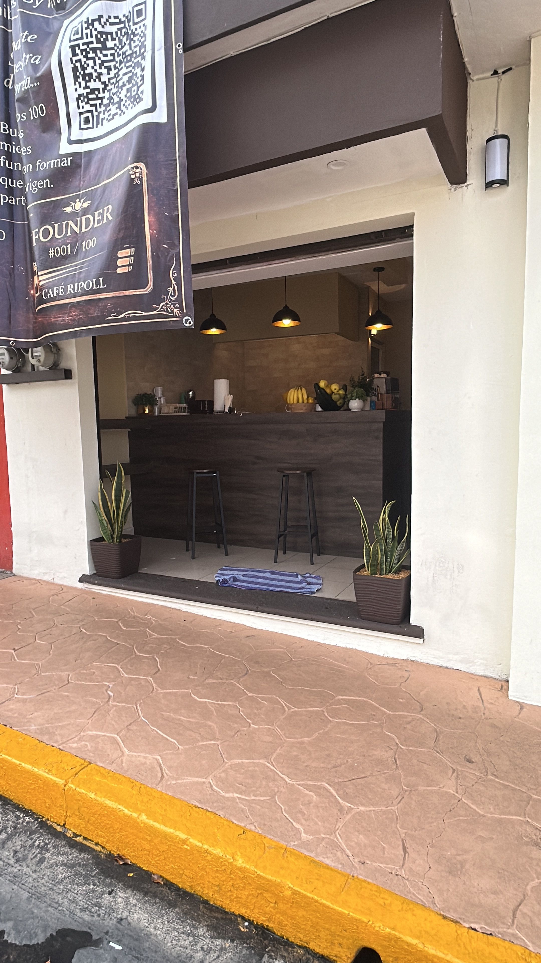 A café with a dark counter, hanging pendant lights, and potted plants.