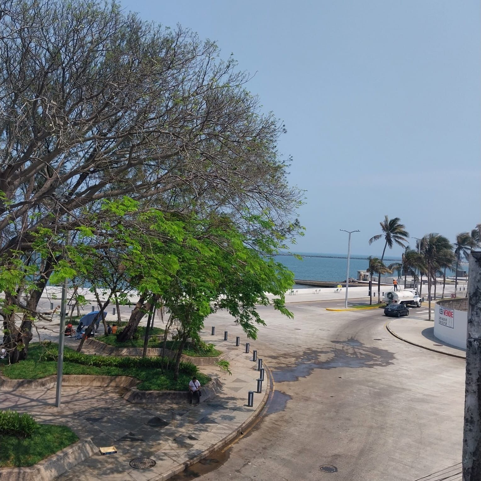 Una calle costera con acera, árboles y una vista despejada del mar.