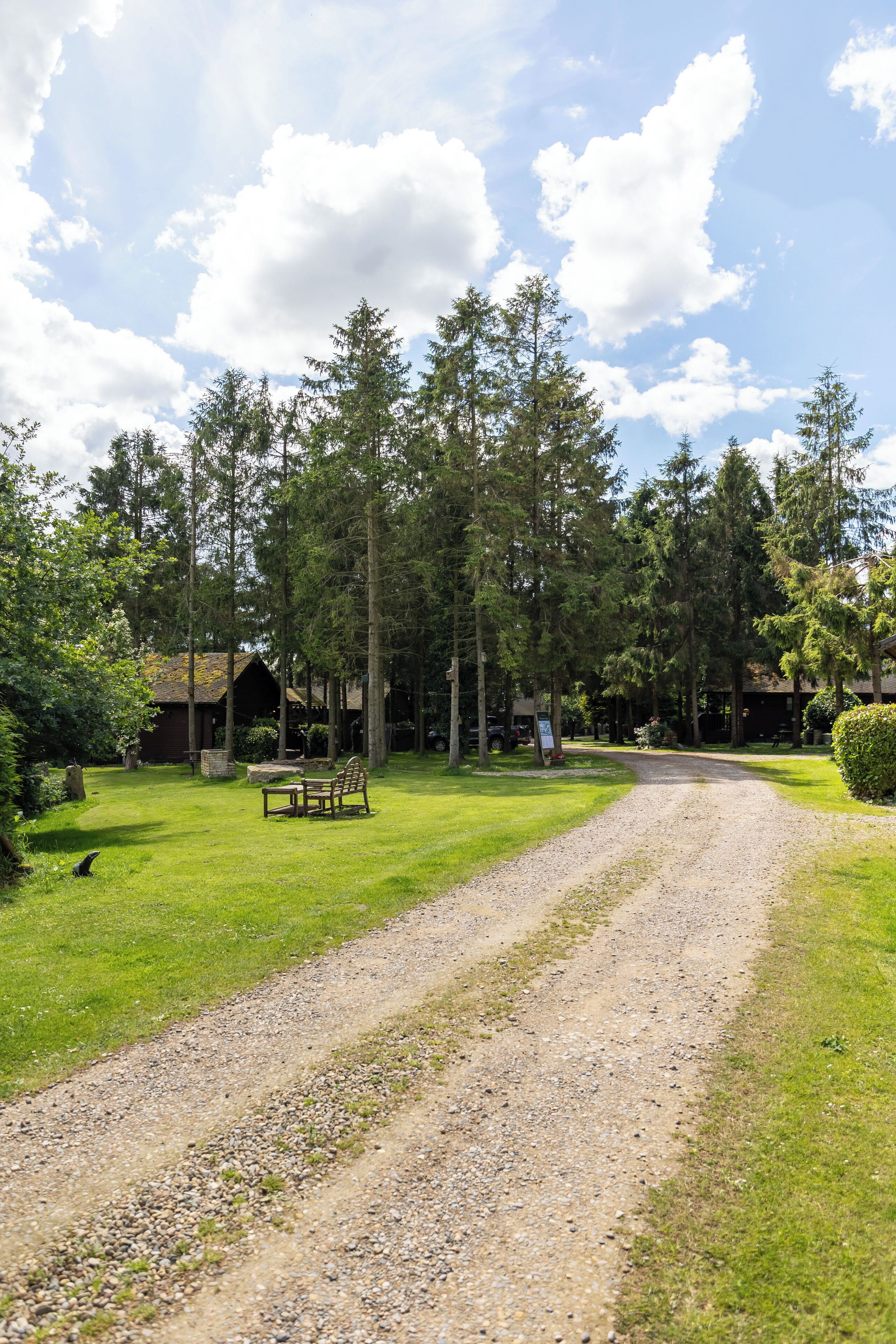 A gravel path leading to a rustic cabin surrounded by tall trees.