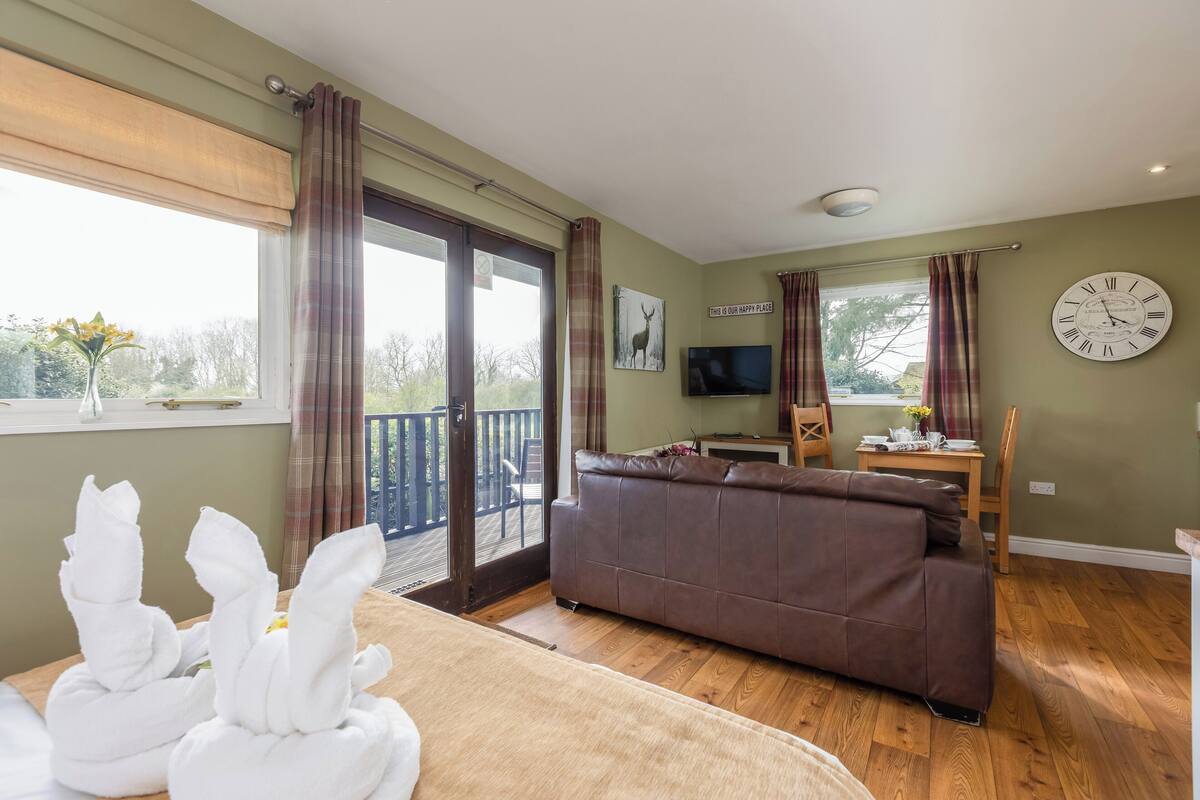 A room with a brown leather sofa, a television, a clock, and a view of the outdoors through a sliding door.