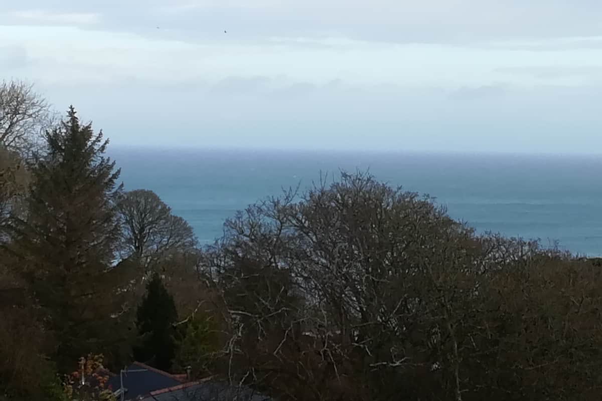A coastal landscape with trees and a view of the sea.