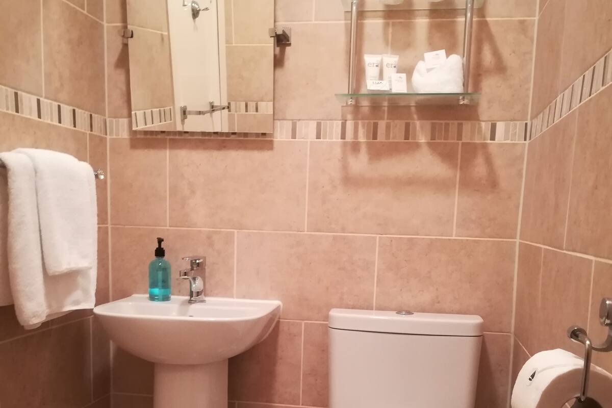 A bathroom with a pedestal sink, toilet, and a glass shelf above the sink.