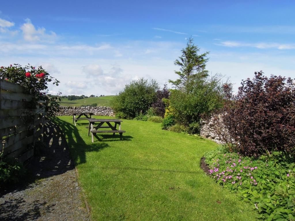 Een gazon met een picknicktafel, een stenen muur en verschillende planten.