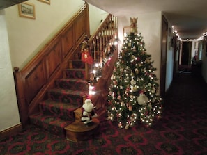 Un escalier décoré d’un sapin de Noël illuminé et orné de guirlandes.