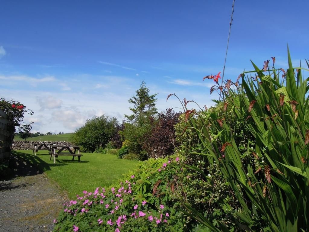 Un jardín con un sendero, un banco de madera y diversas plantas.