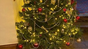 Un sapin de Noël décoré de guirlandes lumineuses et d’ornements, placé dans un coin près d’une fenêtre et agrémenté de tableaux accrochés au mur.