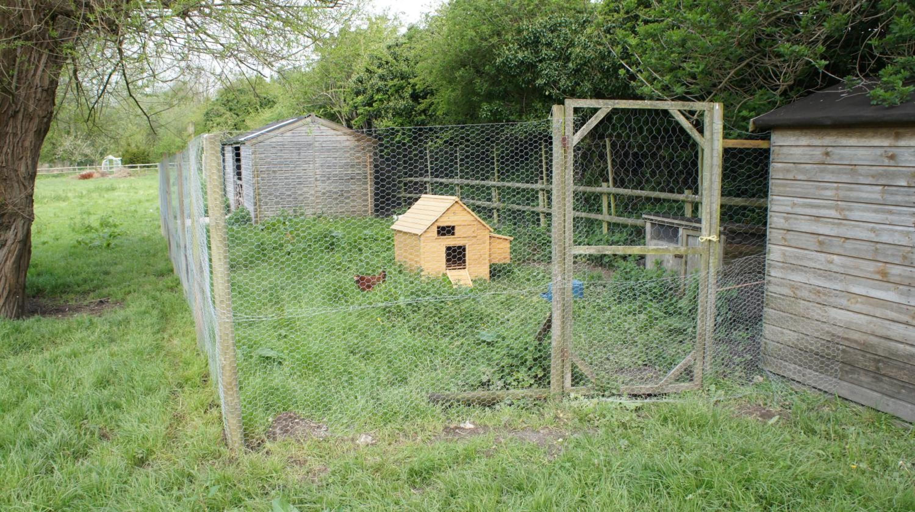 A fenced area with a wooden structure and a chicken coop.