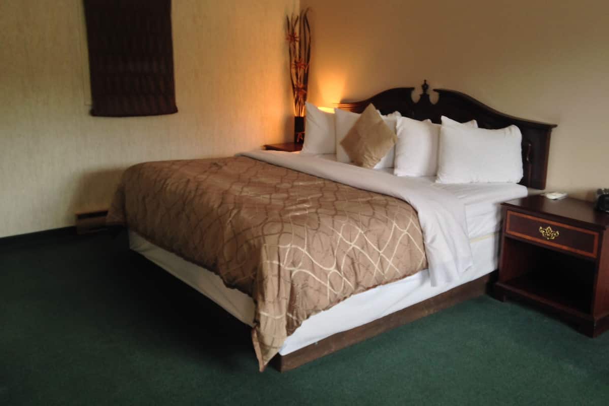 Suite, 1 cama King size, no se aceptan mascotas | 1 habitación y ropa de cama de alta calidad