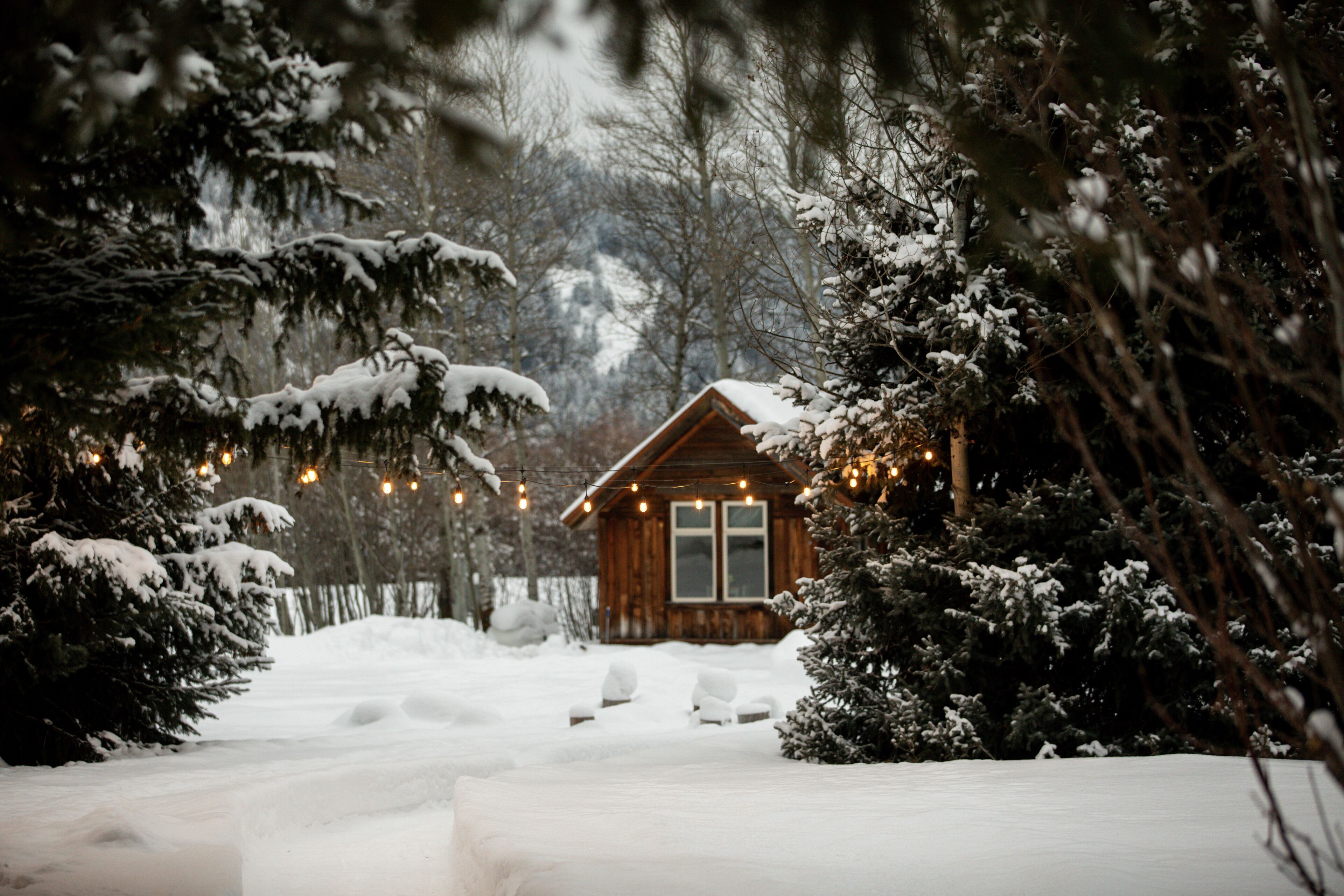 Rendezvous Cabin (2 Queens, No Pets)