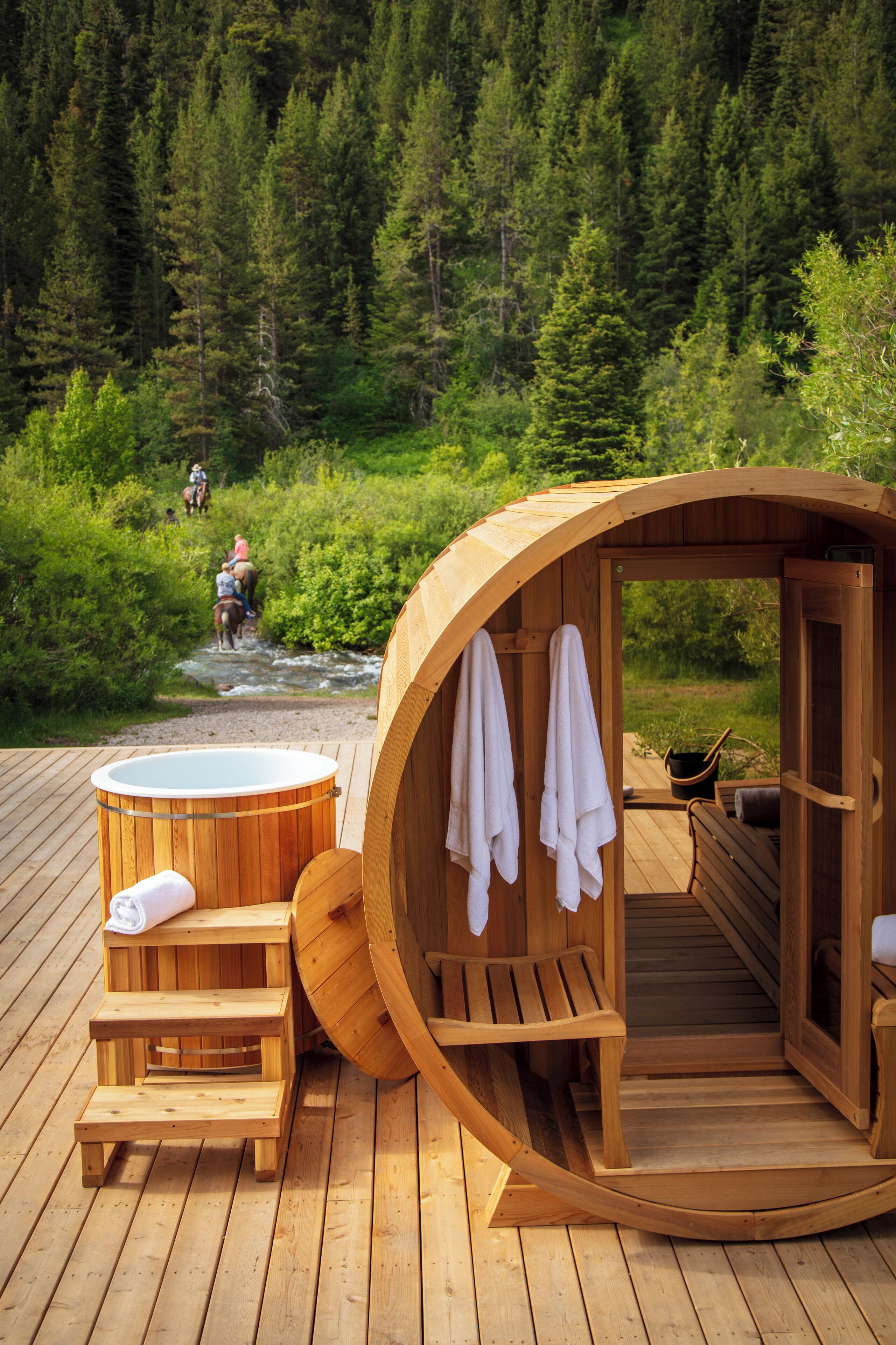 Un sauna en bois avec des bancs et un bain à remous, entouré d’une terrasse et d’une forêt.