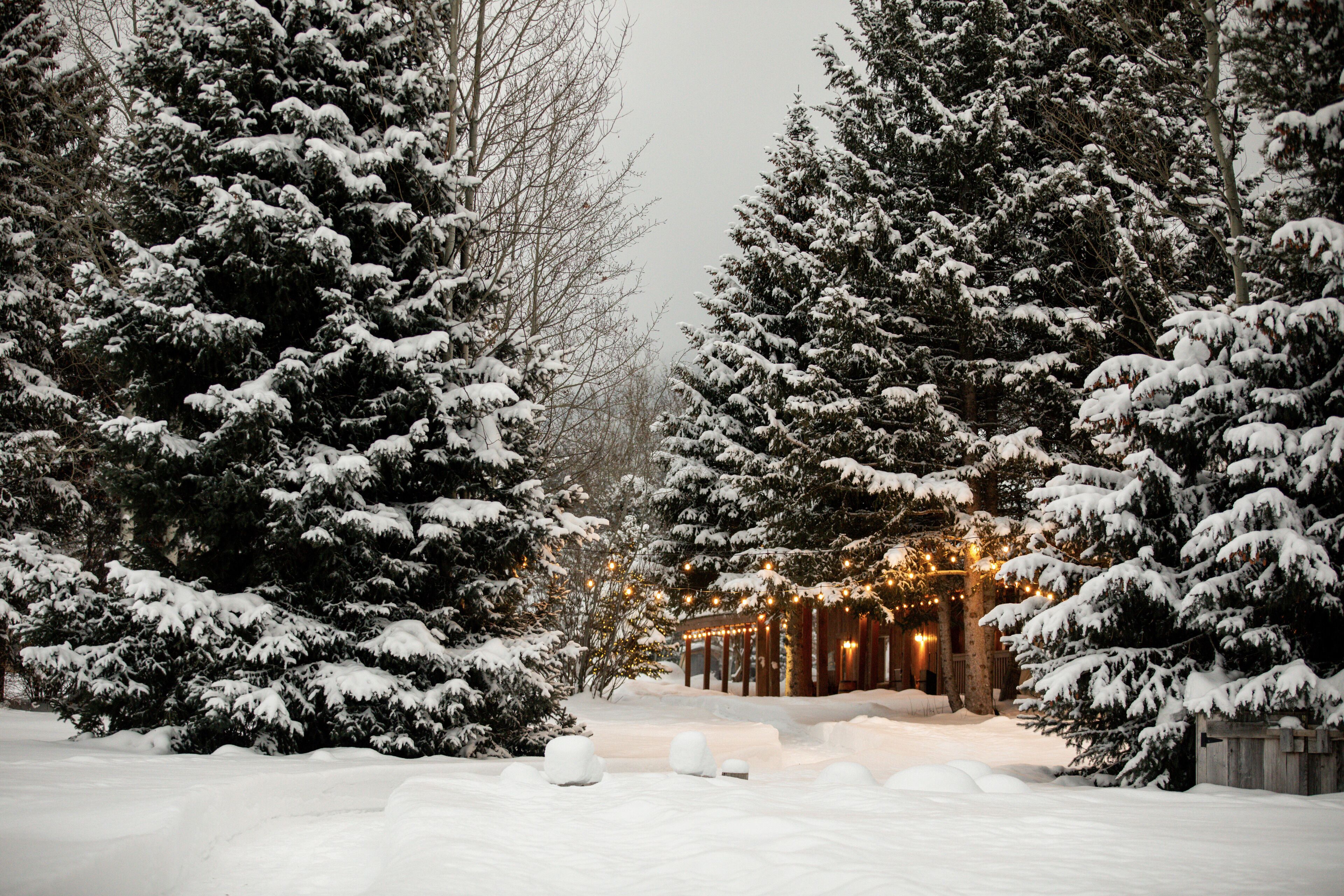 Une forêt enneigée, avec une sorte de belvédère au centre, entourée d’arbres chargés de neige.