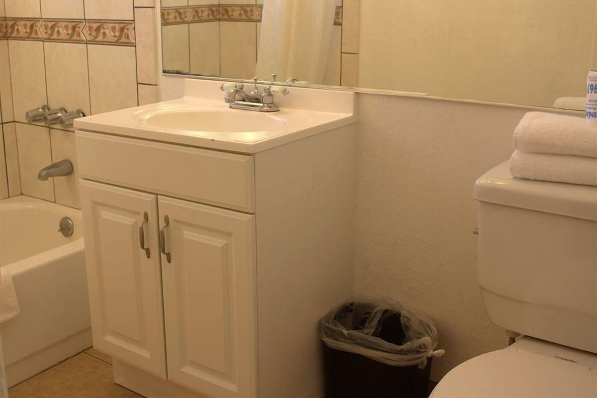 A bathroom with a white sink, a mirror, a toilet, and a trash bin.