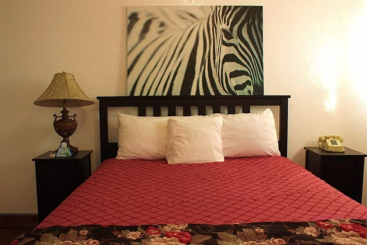 A bed with a red quilt, two white pillows, a zebra artwork on the wall, a lamp on a side table, and a telephone on another side table.