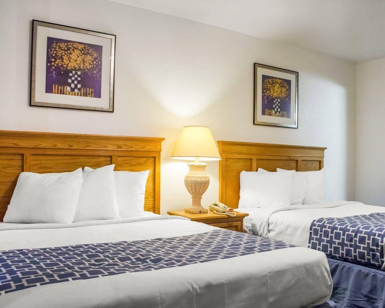 Hypo-allergenic bedding, Select Comfort beds, desk, free WiFi