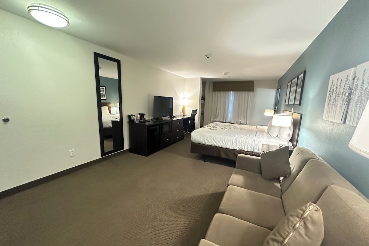 A hotel room with a bed, a TV, a desk, a mirror, and a sofa.