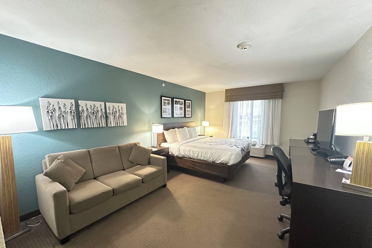 A hotel room with a bed, a sofa, a desk, and a TV.