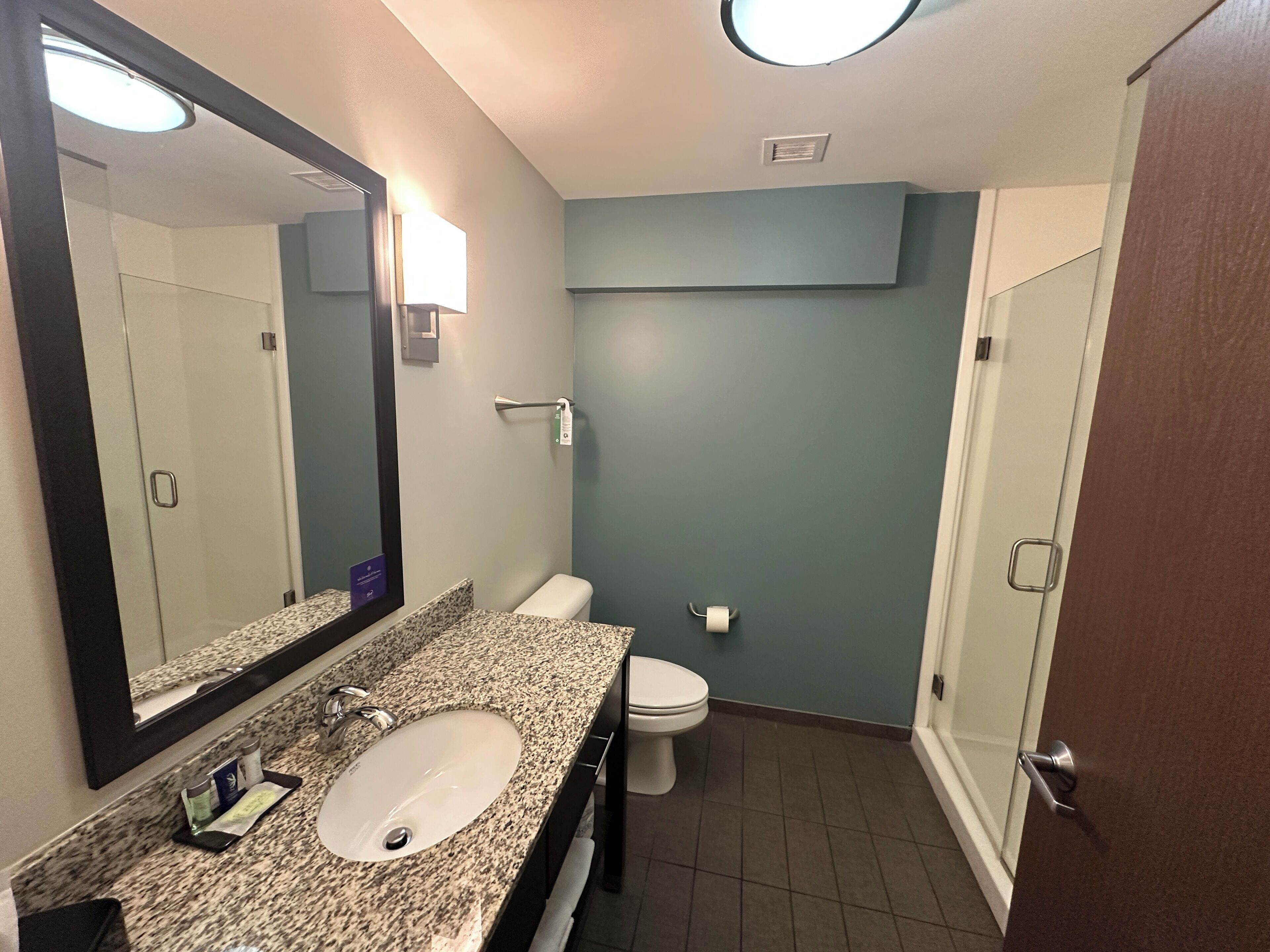 suite, 1 king bed with sofa bed, non smoking | bathroom | rainfall showerhead, free toiletries, towels