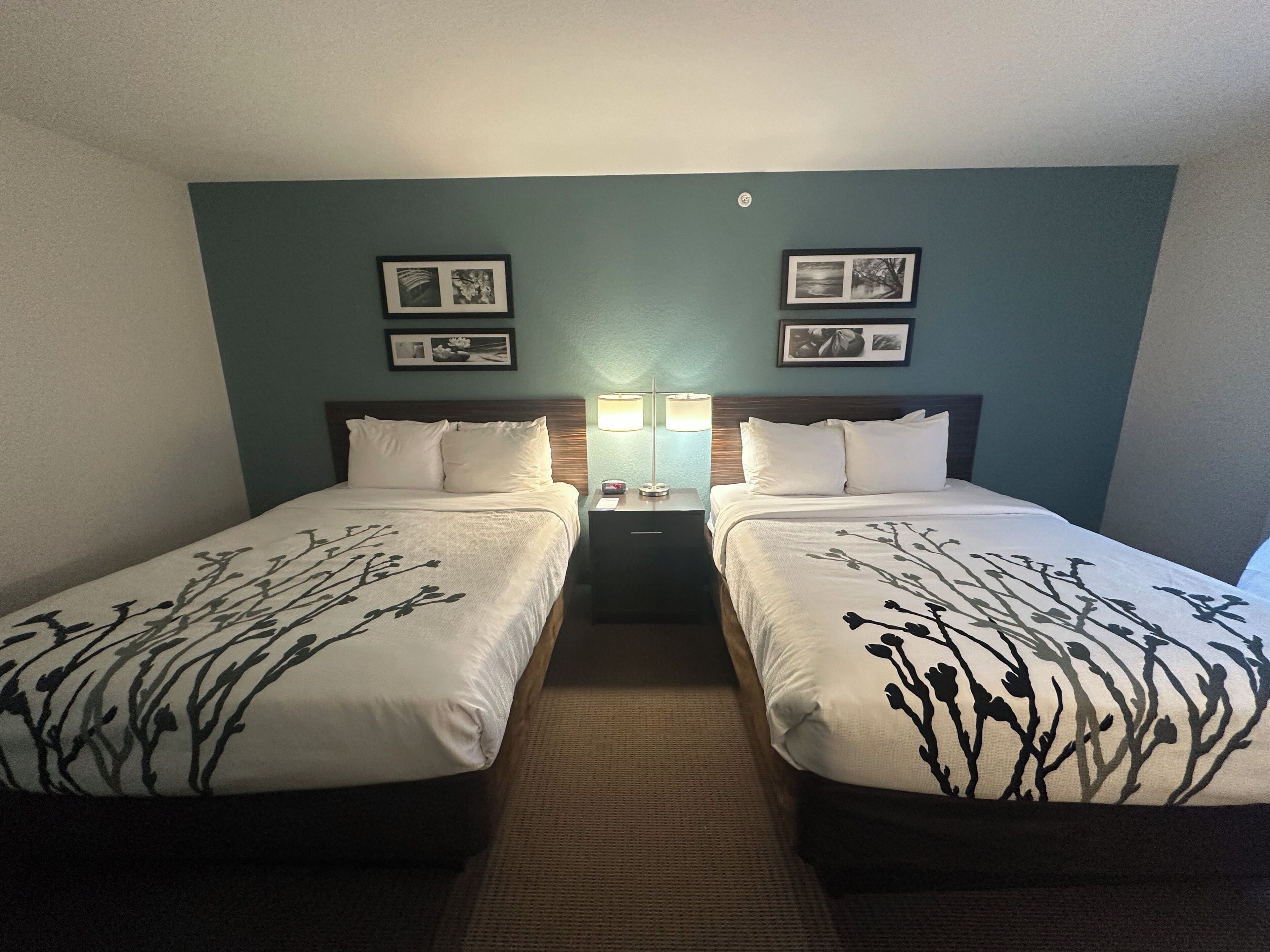A hotel room with two single beds, a nightstand with a lamp, and framed pictures on the wall.