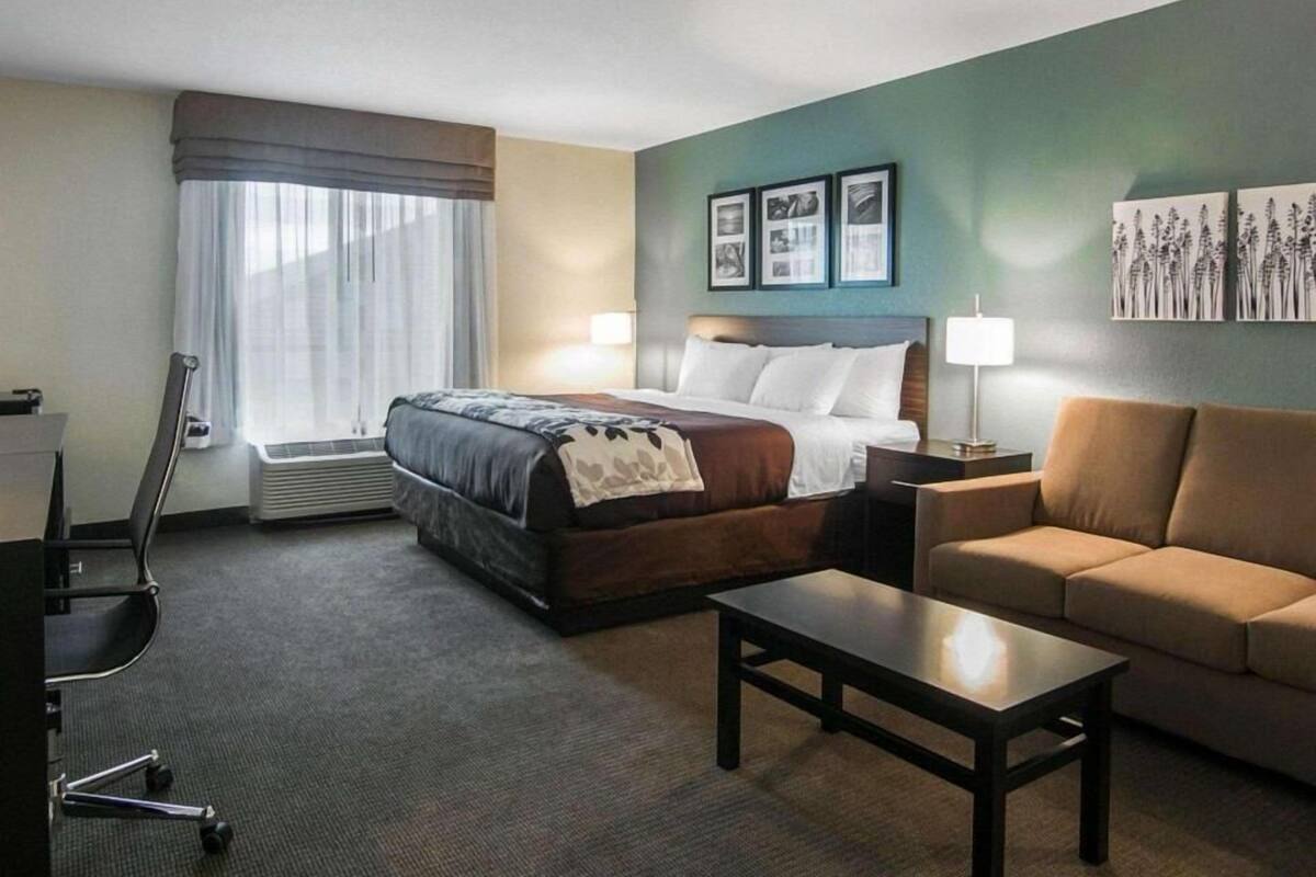 A hotel room with a bed, a sofa, a desk, and a chair.
