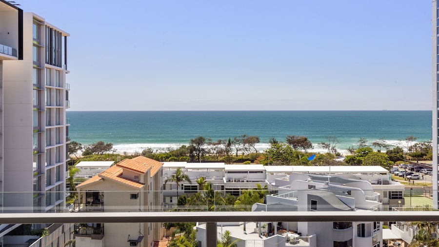 Verve on Cotton Tree