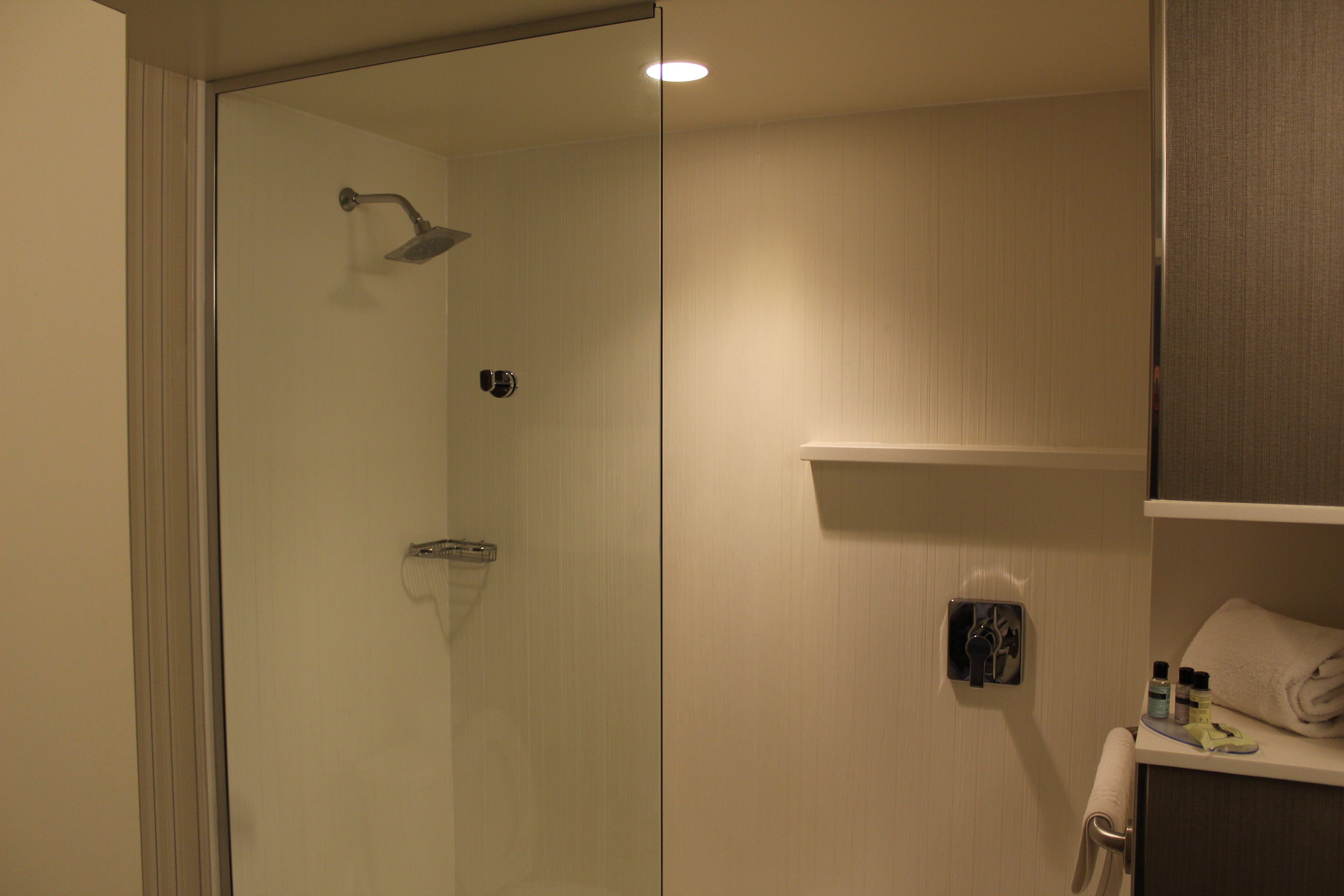 Ein Hotelbad mit Duschkabine aus Glas, einem Handtuchhalter und Ablagefläche für Toilettenartikel.