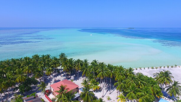 Un resort en la playa con palmeras, una arena dorada y un mar azul cristalino.