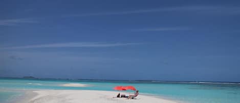 On the beach, scuba diving