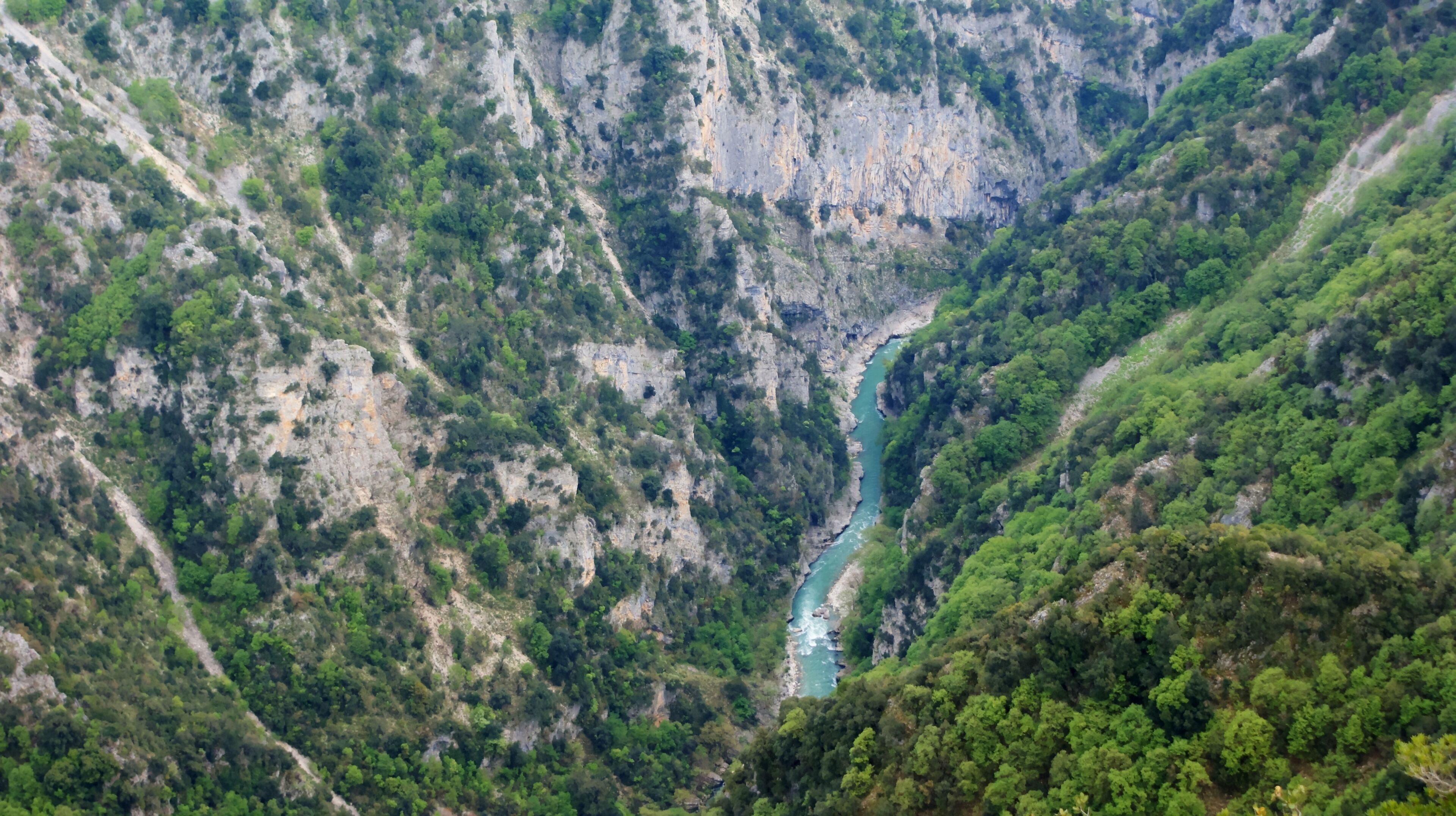 Un cañón con un río que lo atraviesa, rodeado de vegetación verde exuberante.