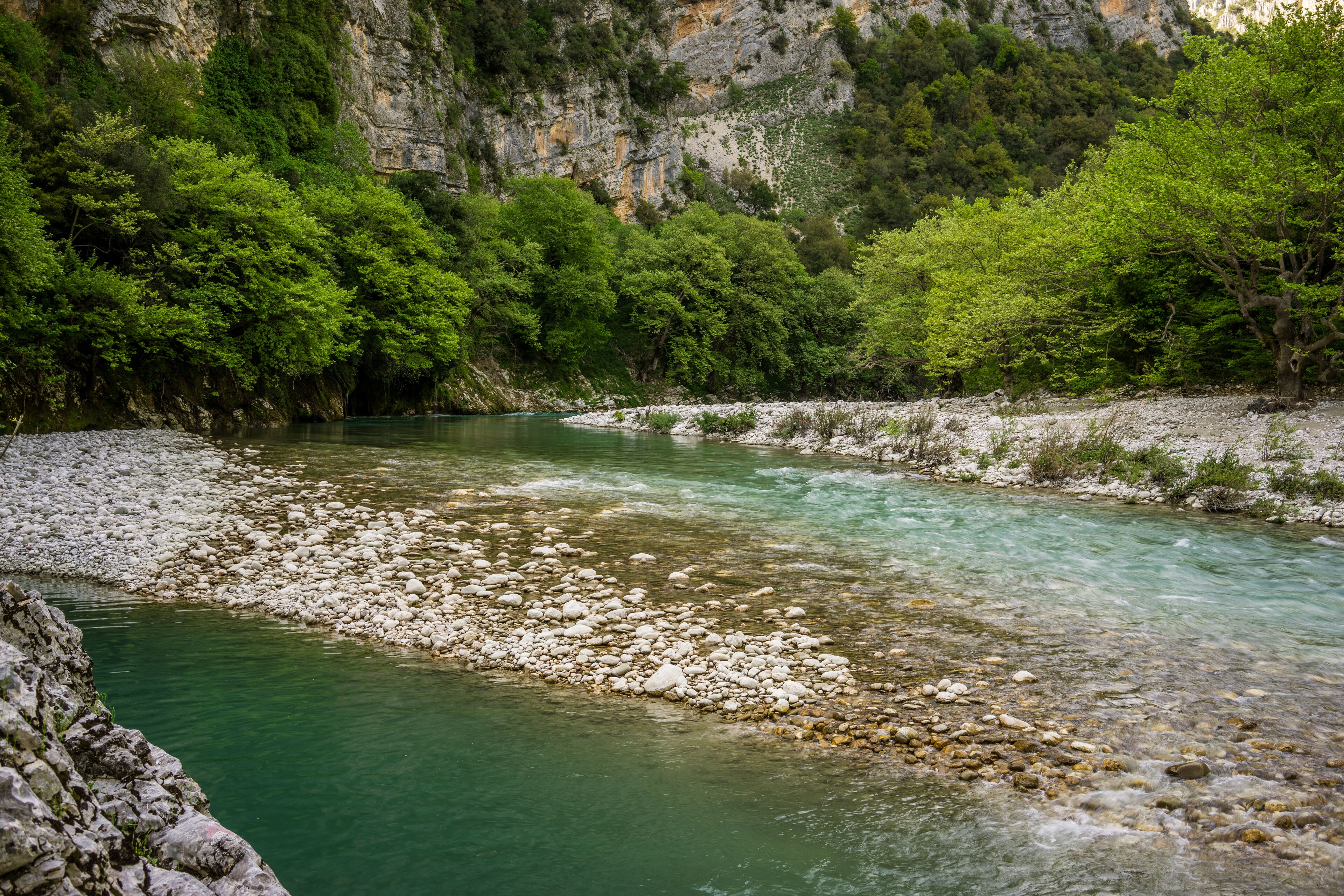 A river flowing through a rocky landscape with dense greenery and a cliff in the background.