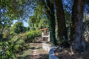 Un sendero de piedra que conduce a una pérgola de madera en un área boscosa.