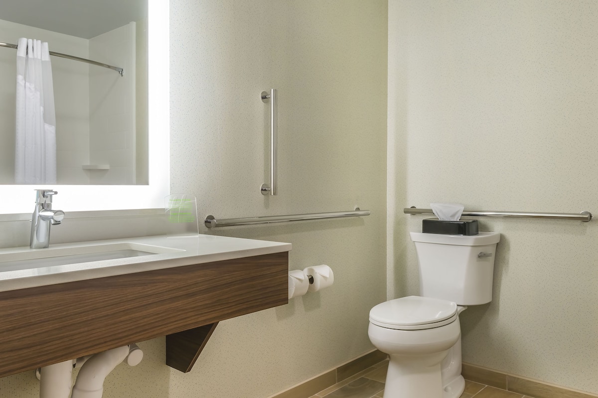 A bathroom with a sink, mirror, toilet, and handrails.