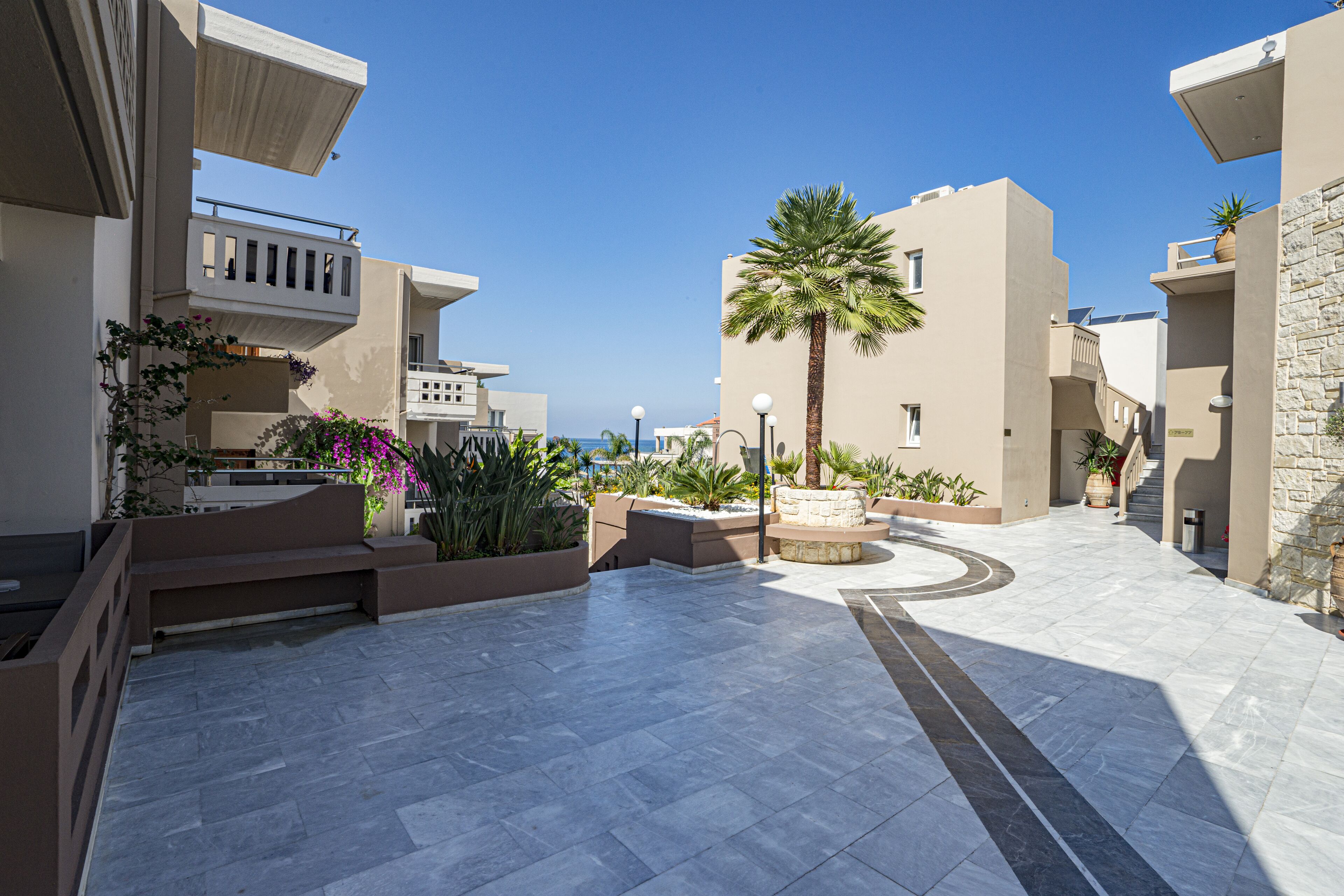 A modern outdoor courtyard with a curved pathway, palm trees, and potted plants.