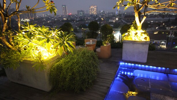 Un jardin sur le toit, agrémenté de plantes en pot et doté d’un espace piscine chauffé, offrant une vue sur le paysage urbain illuminé la nuit.