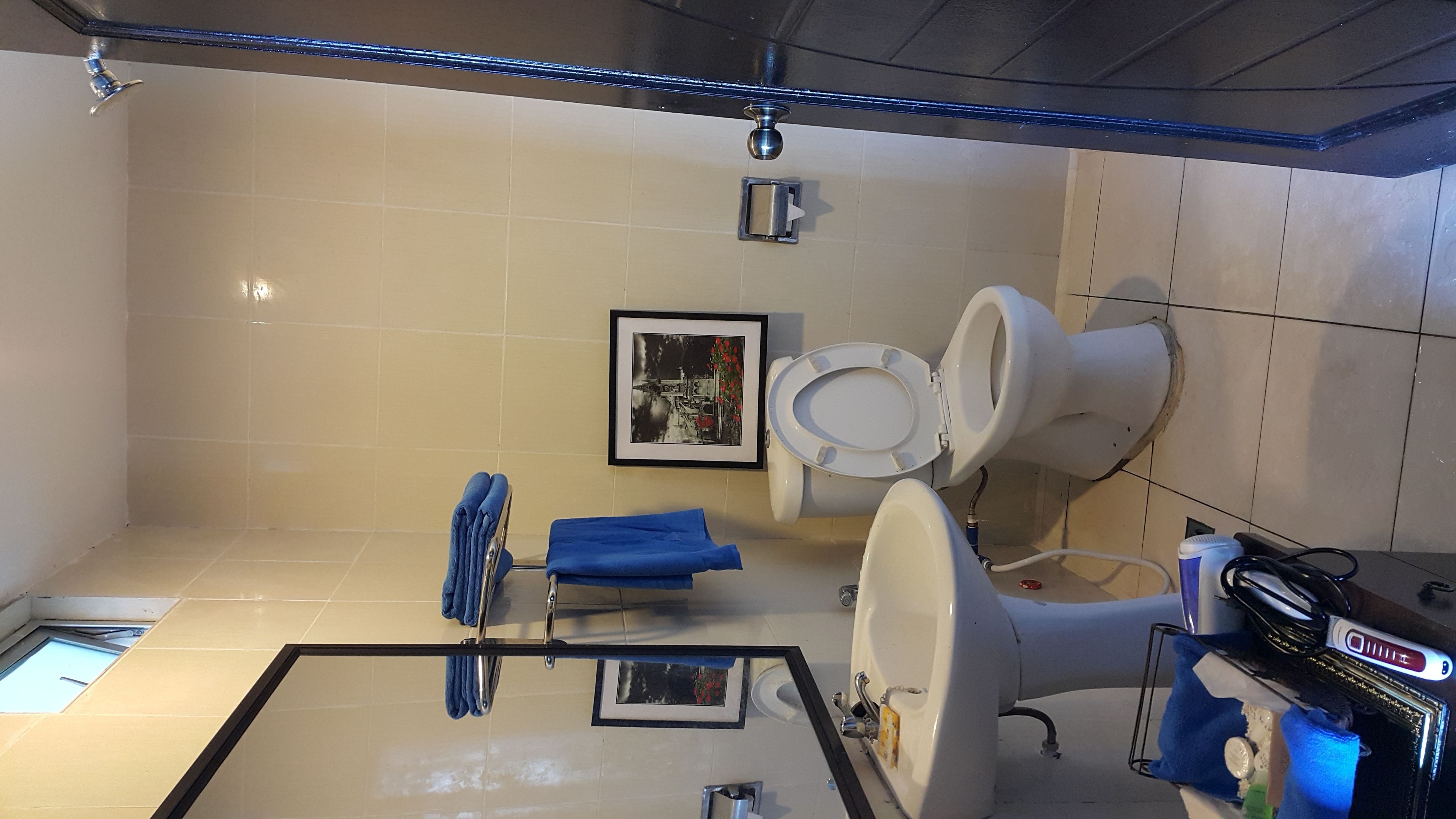 Un baño con inodoro blanco, un cuadro en la pared y un toallero azul.