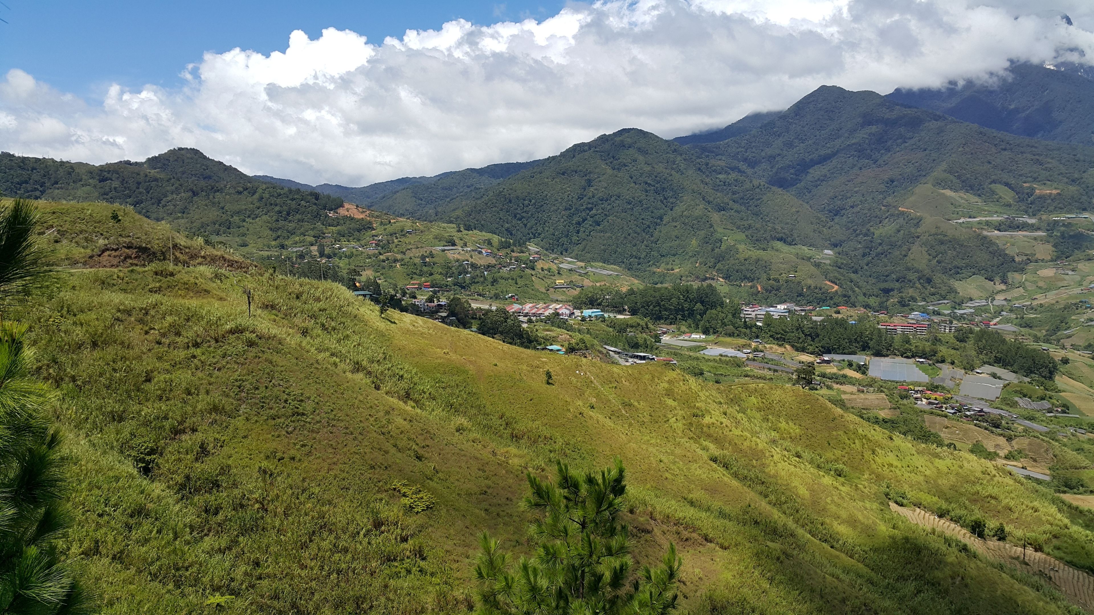 山景