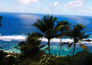 Hiking - Faofao Beach Fales (Saleapaga)