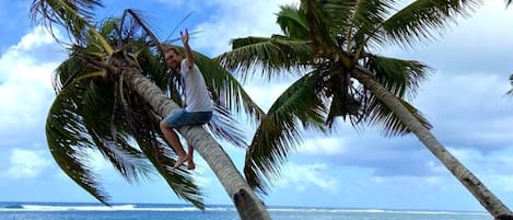 Private beach, white sand