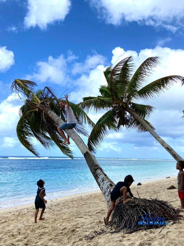 A beach scene with palm trees and the ocean. - Faofao Beach Fales (Saleapaga)