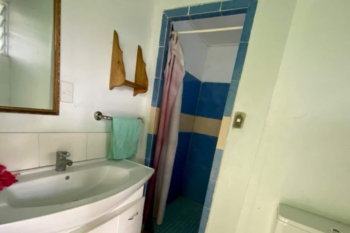 basic room, 1 bedroom (with air conditioning) | bathroom | shower, towels, toilet paper