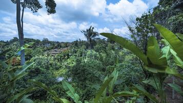Un paisaje exuberante y verde con vegetación densa y cielo despejado.
