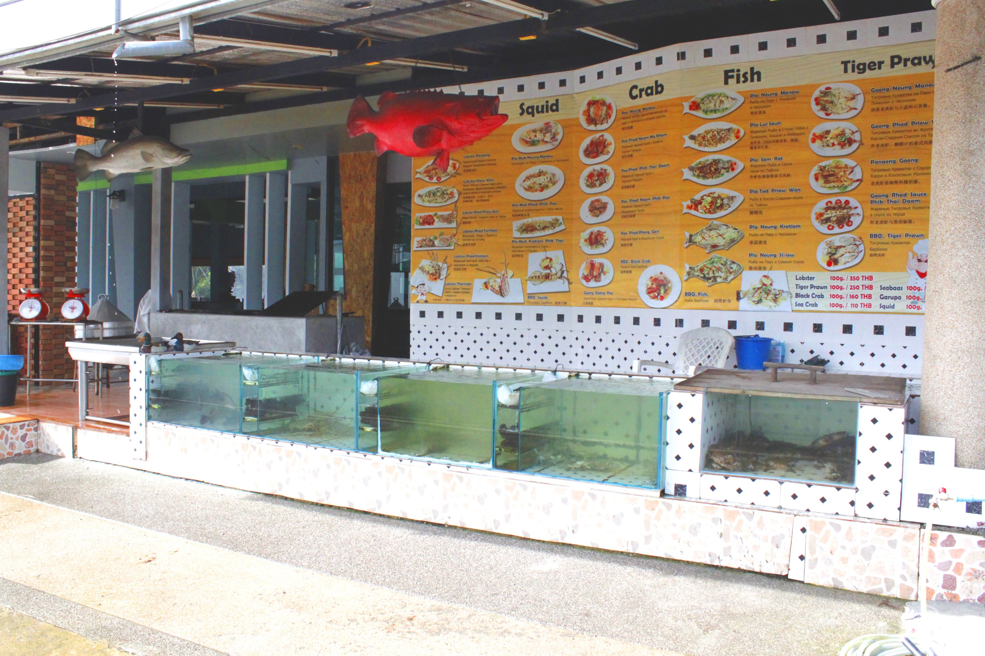 Ein Fischrestaurant mit Speisekarte, Aquarien und einem roten Zierfisch.