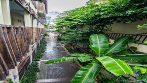 A narrow alleyway with a metal grate pathway, surrounded by lush greenery and wooden fences. - Sutus Court 2 (Pattaya)