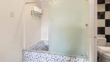 A bathroom with a glass shower enclosure, a tiled shower area, and a toilet visible through the glass.